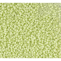 50 gr *Preciosa 10/0 19001/03153 Mint Green dyed	